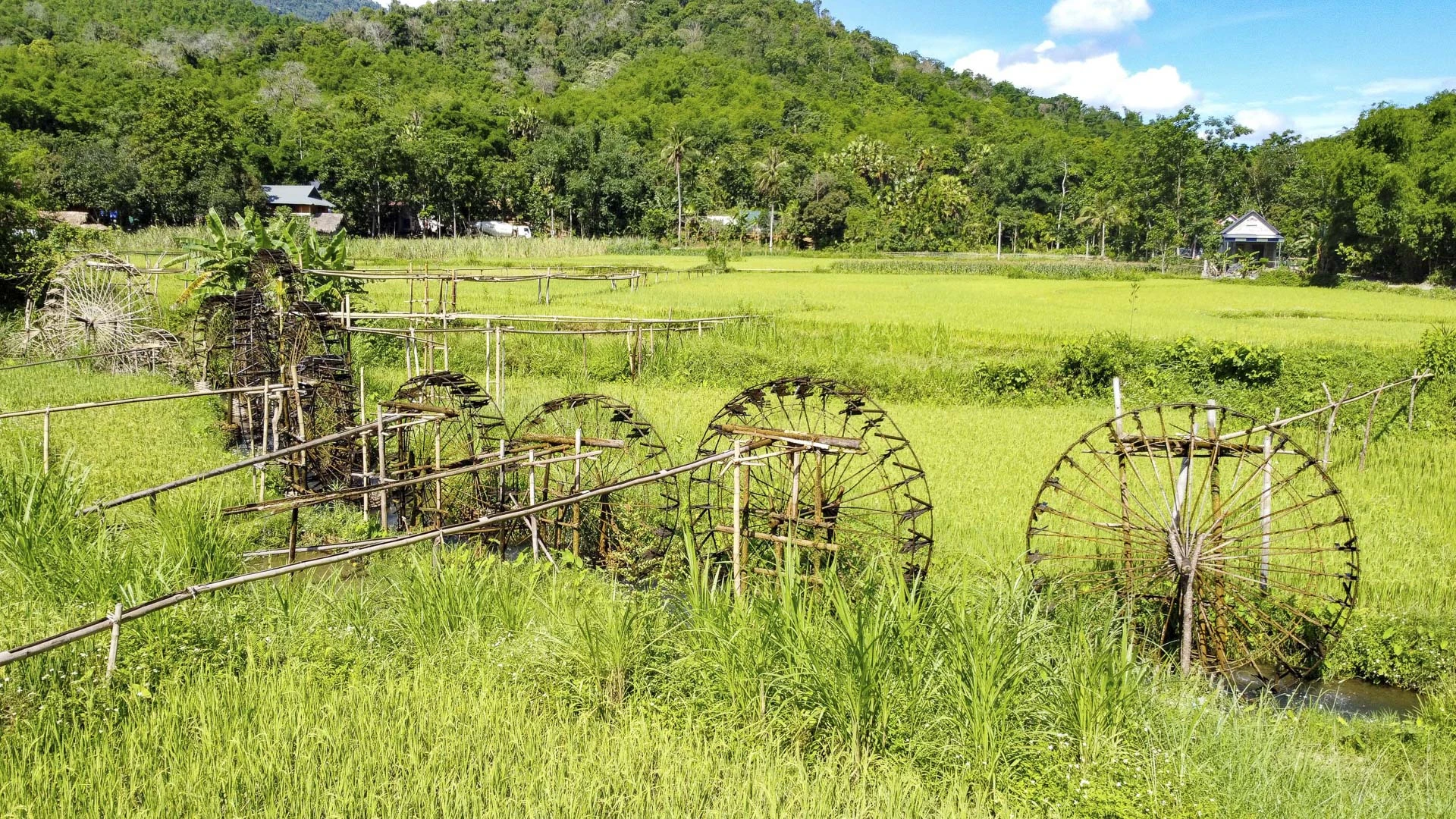 Hiện nay, chính quyền địa phương đã hỗ trợ kỹ thuật sản xuất nông nghiệp cho bà con và lồng ghép hoạt động bảo tồn guồng nước truyền thống vào phát triển du lịch cộng đồng, góp phần tạo sinh kế bền vững cho người dân.