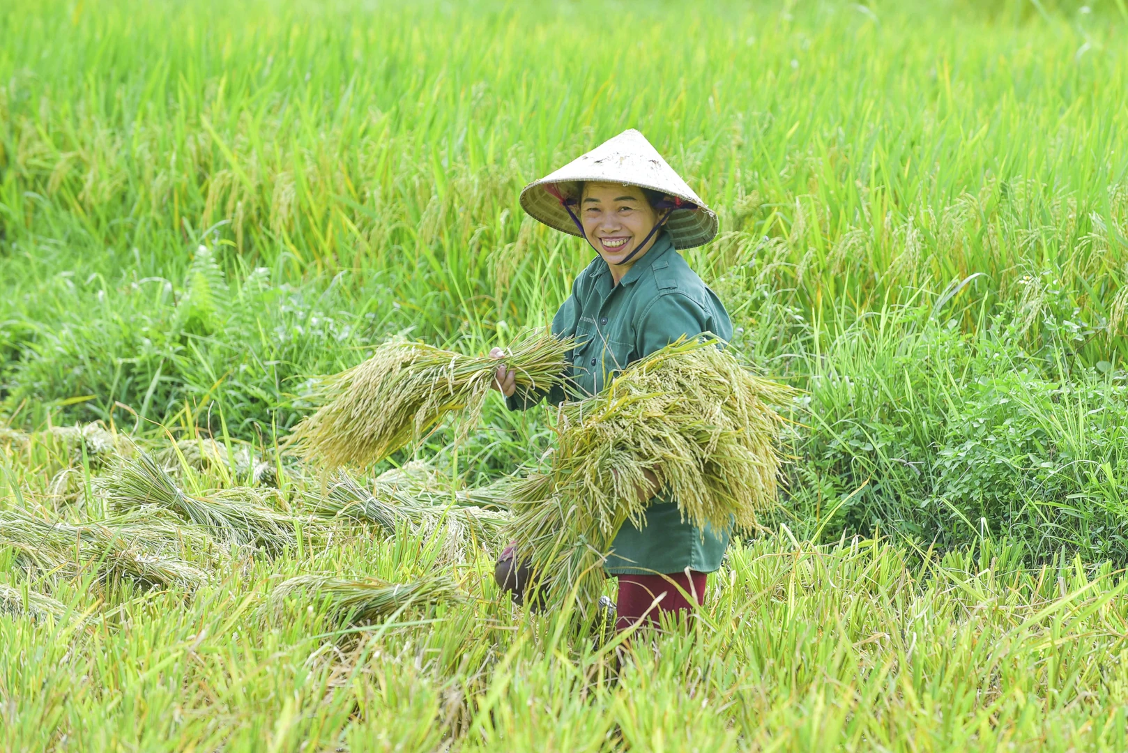 Nụ cười hiền hòa, ánh mắt thân thiện của người dân địa phương khiến du khách cảm thấy ấm áp và gần gũi.
