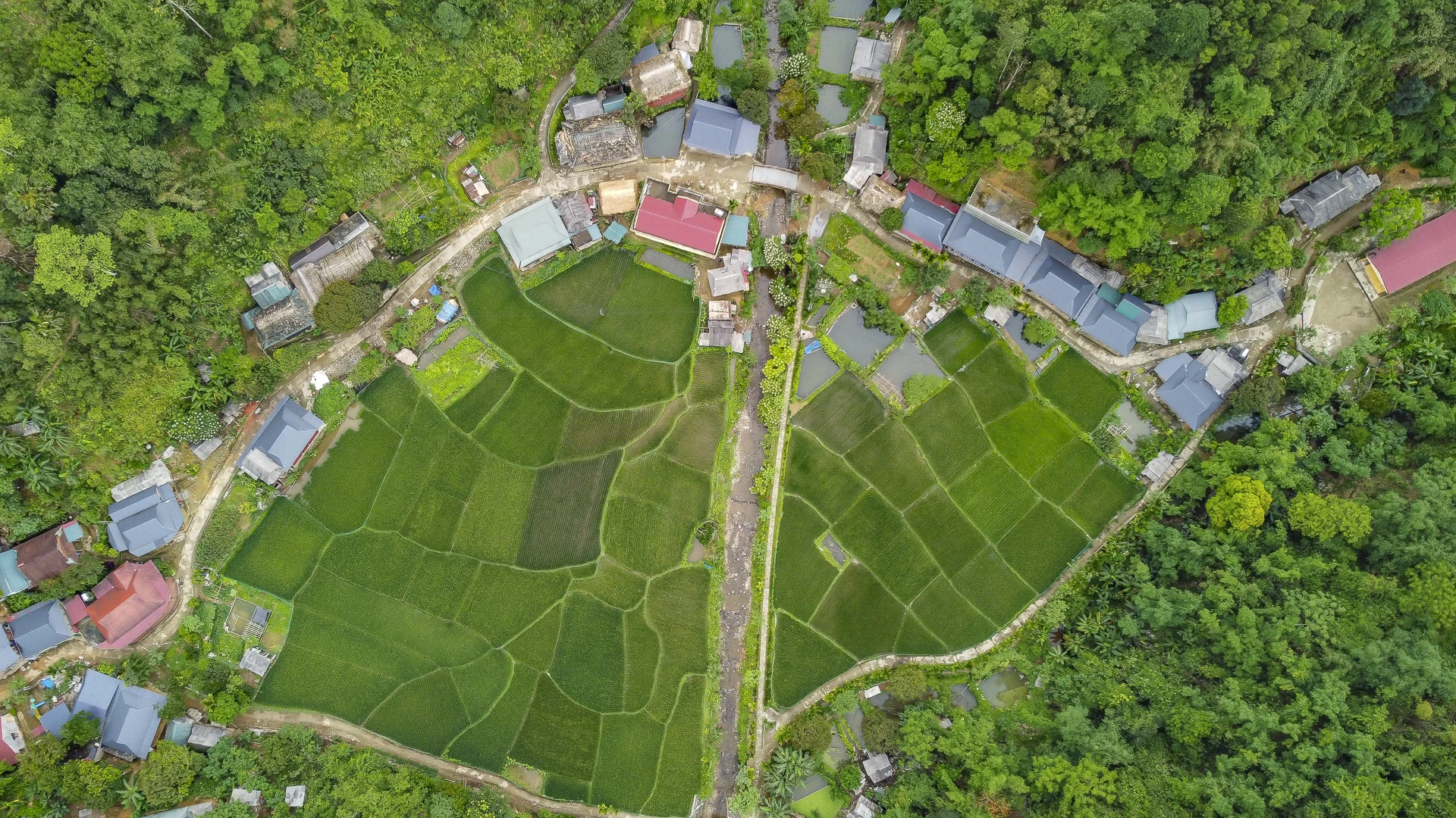 Xa hơn một chút là Kho Mường - bản làng ẩn mình trong thung lũng biệt lập, nơi có hang Dơi kỳ bí với hàng triệu nhũ đá lung linh.