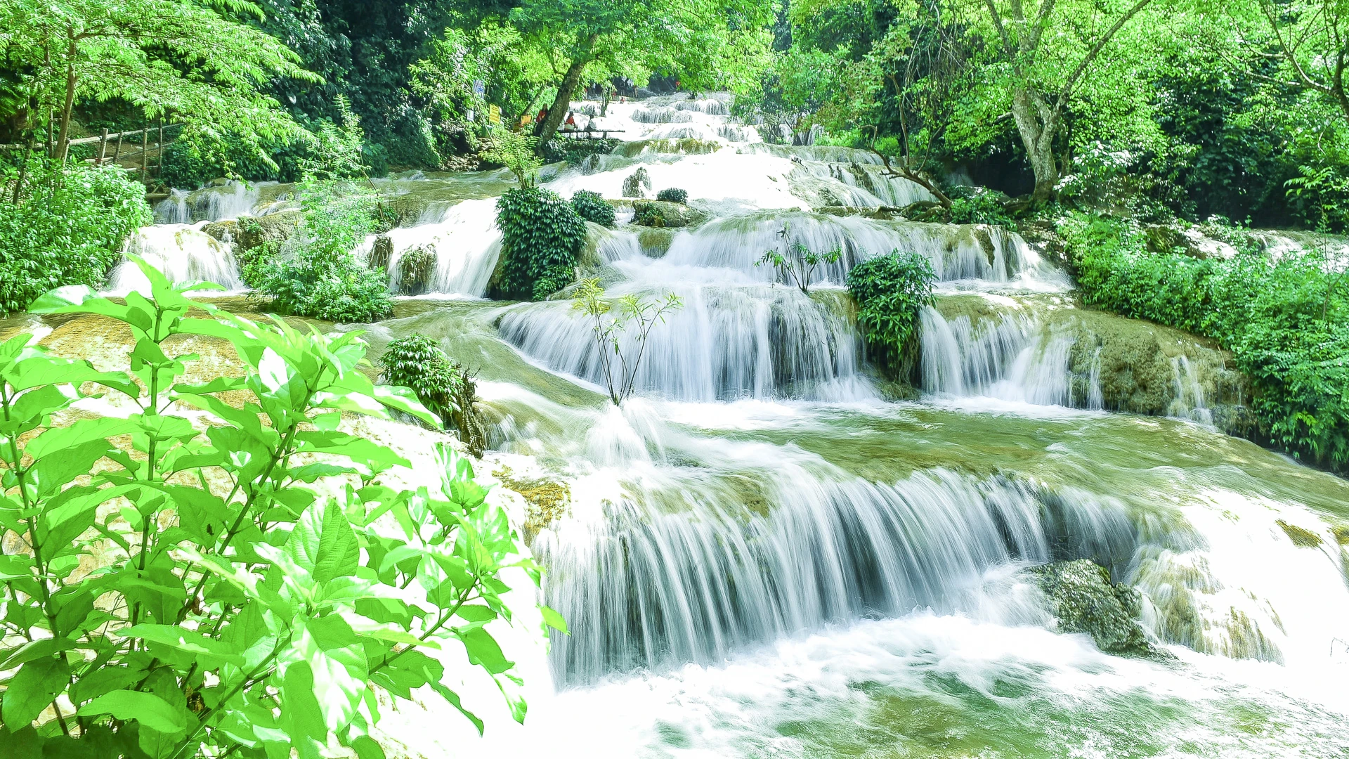 Chín bậc tình yêu giữa rừng xanh xứ Thanh
