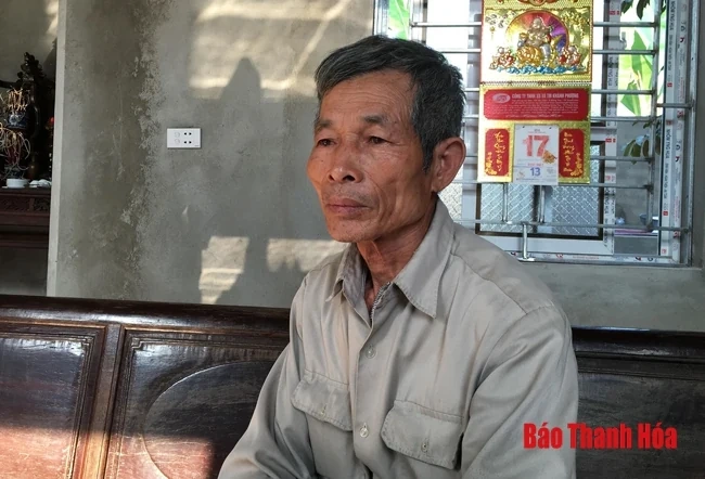 Điều tra làm rõ vụ việc hơn 4 sào lúa chết cháy hàng loạt, nghi do bị bỏ thuốc diệt cỏ