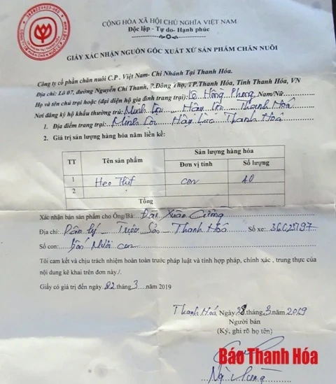 Thanh Hóa: Người tiêu dùng không còn quay lưng với thịt lợn