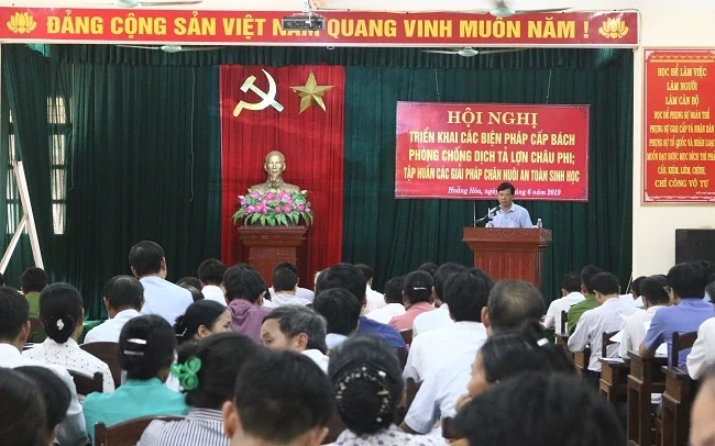 Huyện Hoằng Hóa: Triển khai các biện pháp cấp bách phòng chống dịch tả lợn Châu Phi