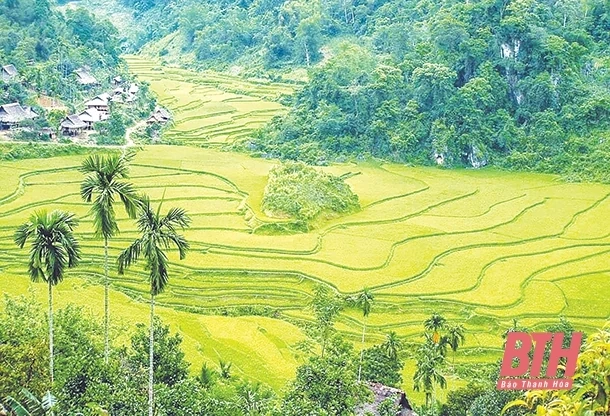 Du lịch - động lực quan trọng cho phát triển