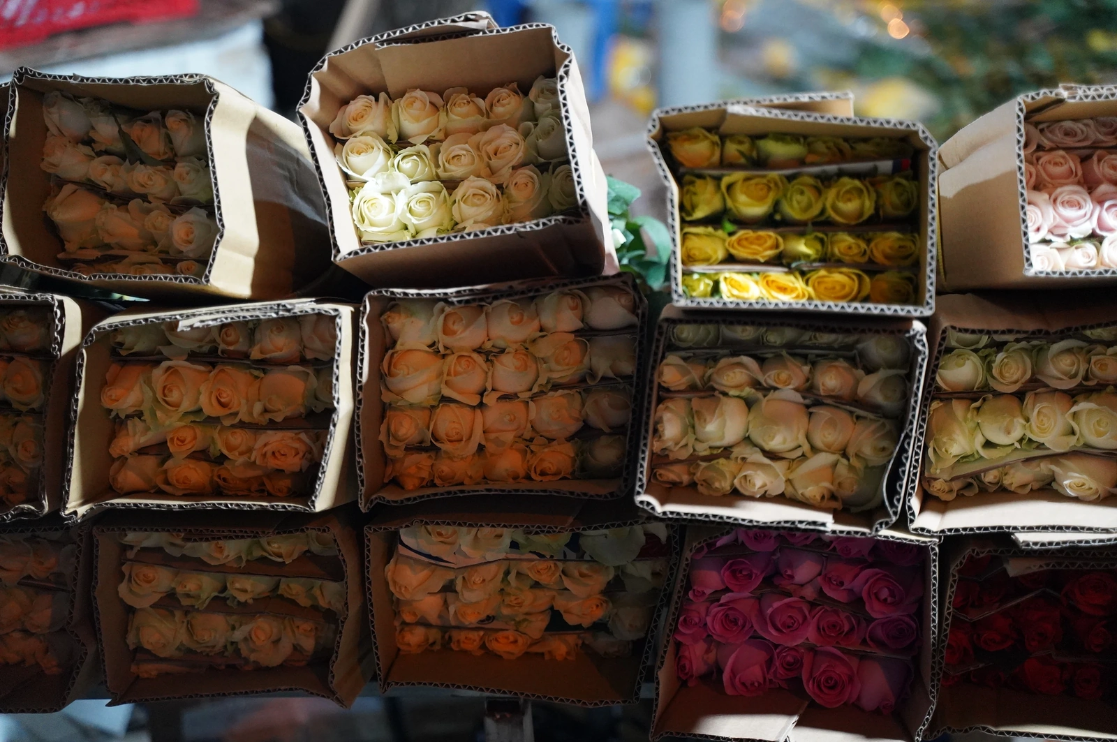 Nhộn nhịp chợ hoa đêm