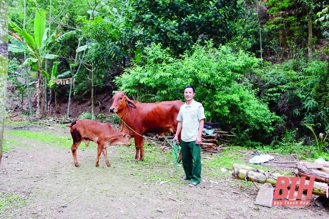 Nhân rộng mô hình giảm nghèo ở xã Hoằng Yến