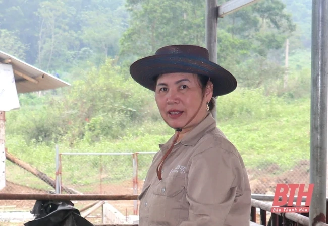 Giá con giống, thức ăn tăng cao - người chăn nuôi gặp khó