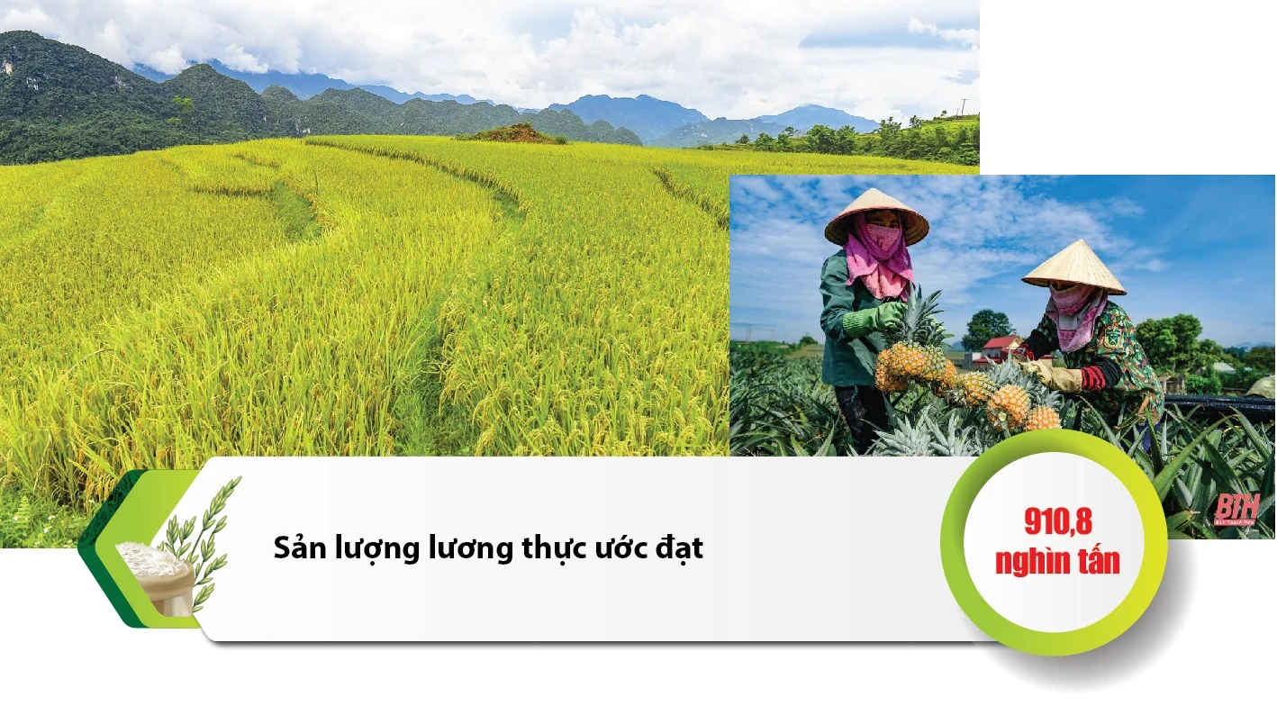 Tổng quan tình hình KT-XH Thanh Hóa 6 tháng đầu năm 2021: Nhiều điểm sáng trong bối cảnh khó khăn chung