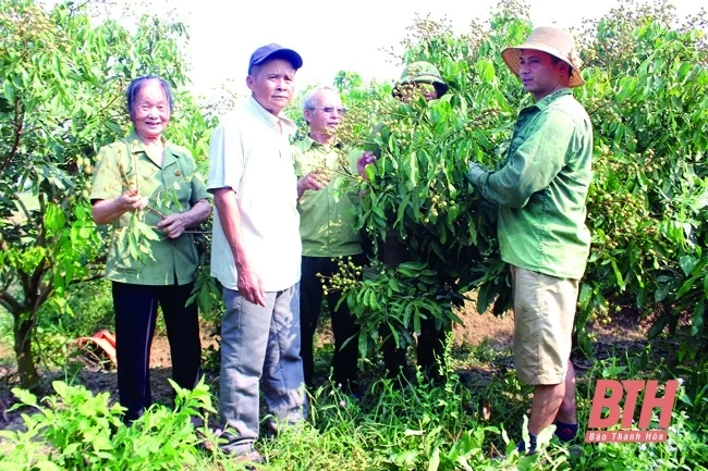 Tiếp tục phát huy truyền thống đoàn kết - đồng đội đổi mới xây dựng tổ chức hội vững mạnh