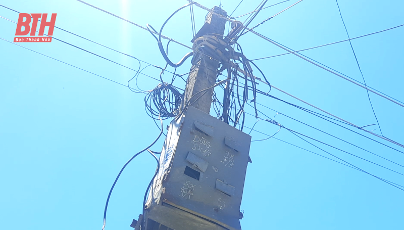 Sẽ hoàn thành việc cải tạo, nâng cấp lưới điện tại xã Thọ Lập