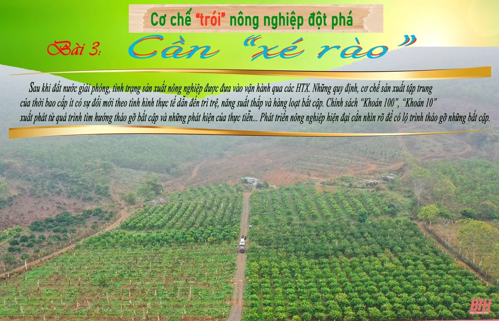Cơ chế “trói” nông nghiệp đột phá: Bài 3 - Cần “xé rào”