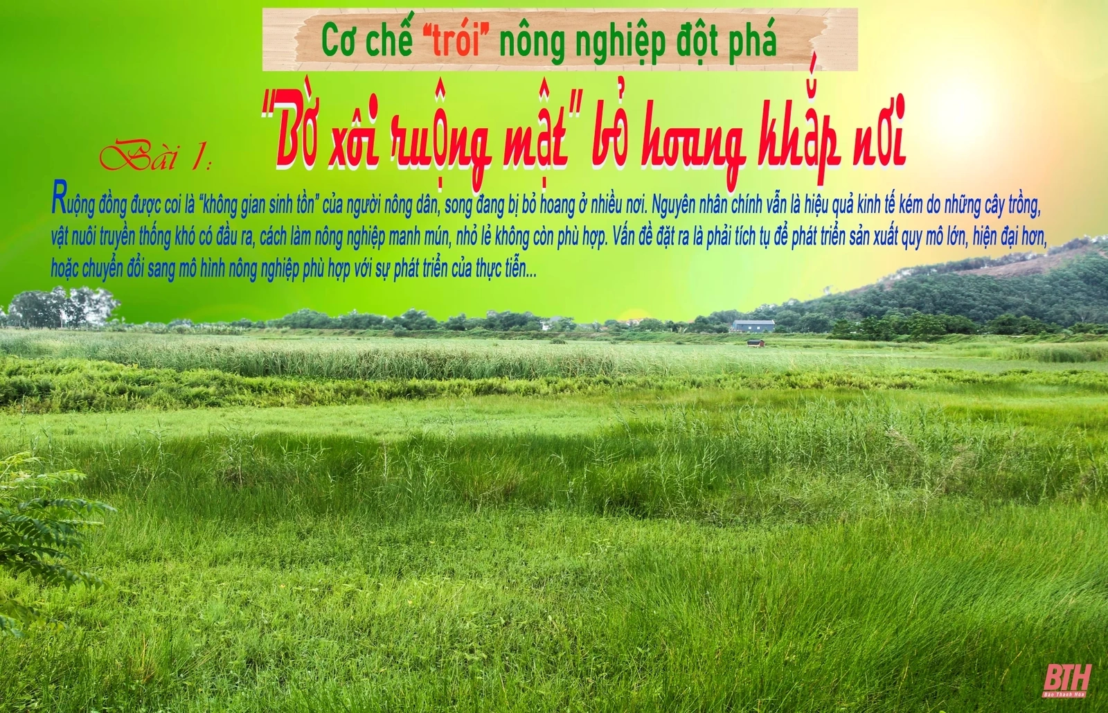 Cơ chế “trói” nông nghiệp đột phá: Bài 1 - “Bờ xôi ruộng mật” bỏ hoang khắp nơi