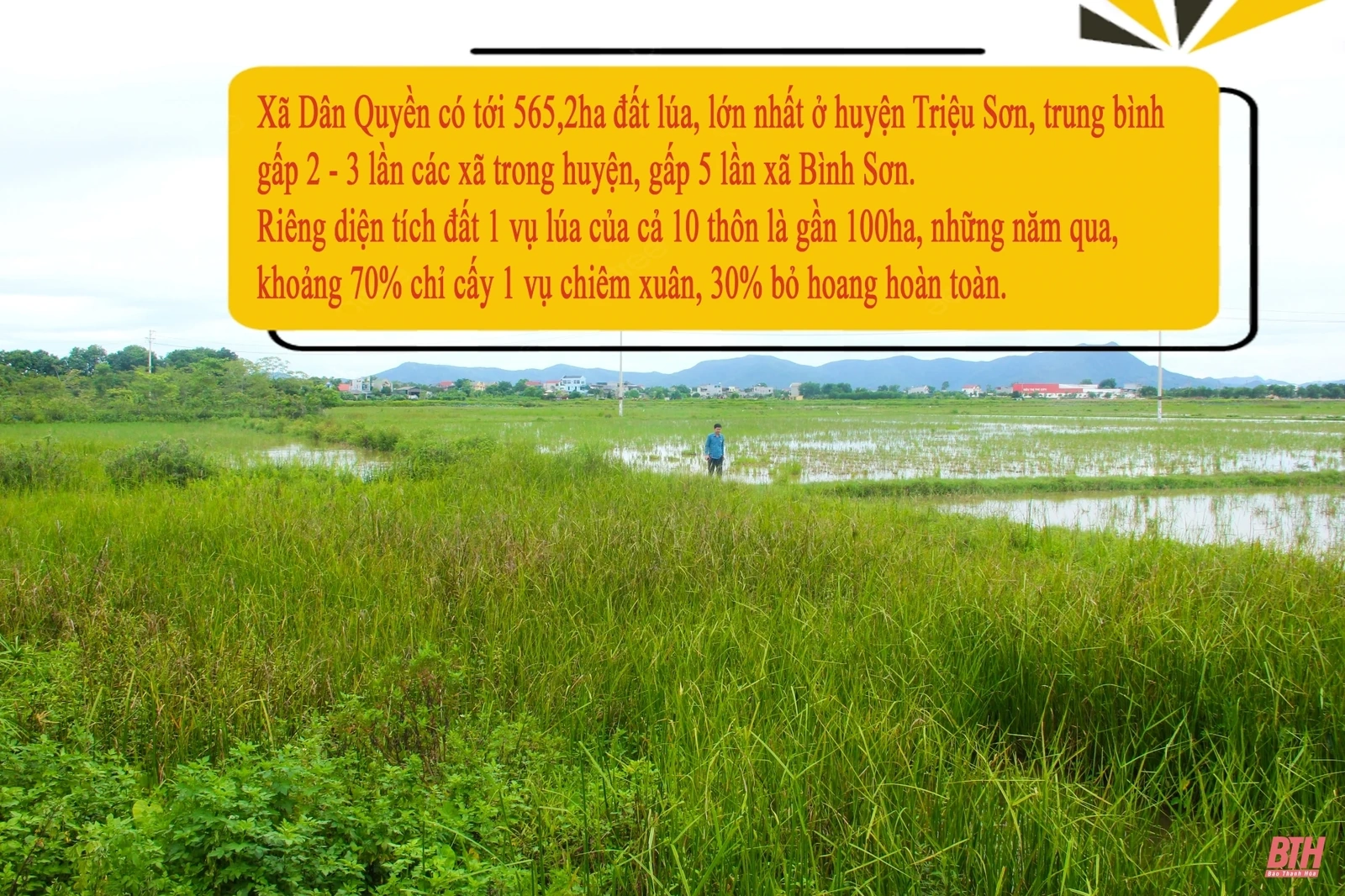 Cơ chế “trói” nông nghiệp đột phá: Bài 1 - “Bờ xôi ruộng mật” bỏ hoang khắp nơi