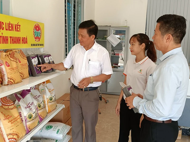 Gạo sạch trên những cánh đồng xanh