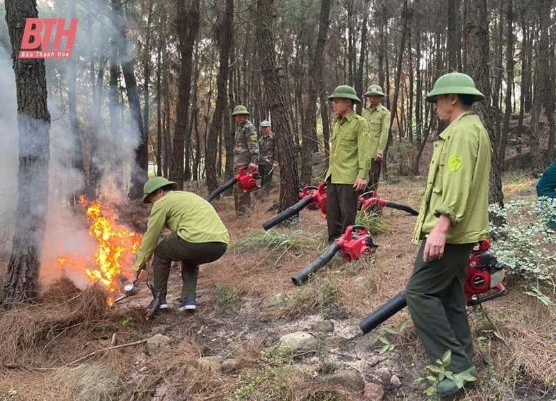 Bảo vệ và phát triển rừng ở thị xã Nghi Sơn