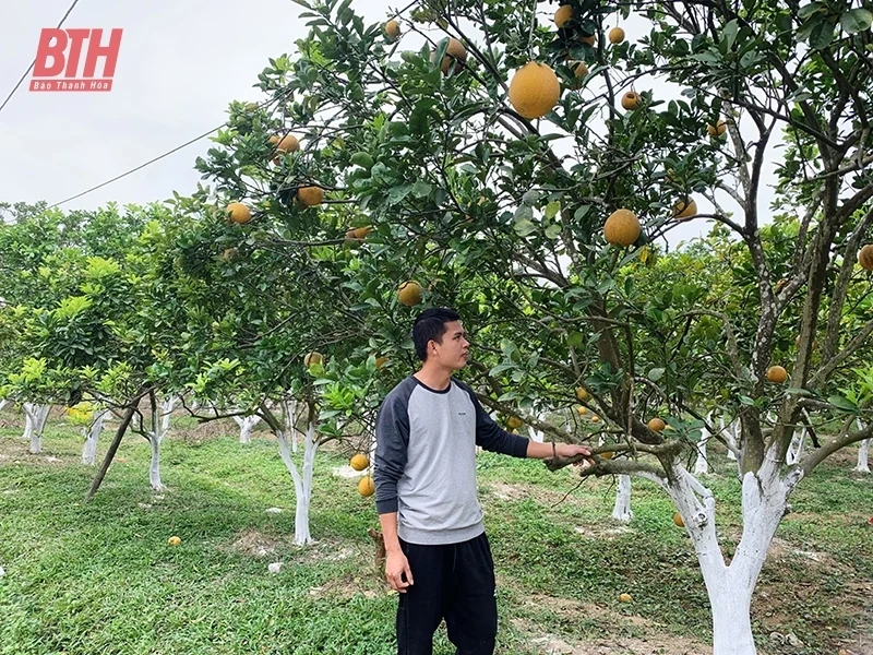 Thọ Xuân với công tác đảm bảo an toàn thực phẩm