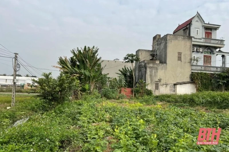 Hoãn phiên tòa xét xử cựu Chủ tịch UBND huyện Quảng Xương và đồng phạm