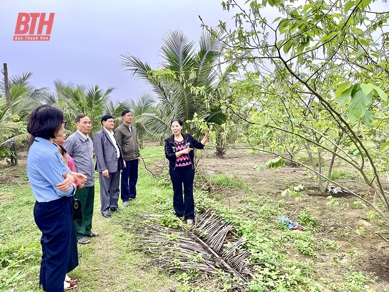 Giáo dân thị xã Nghi Sơn sống “tốt đời, đẹp đạo”