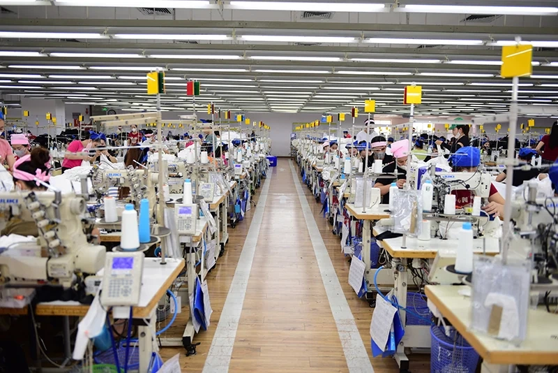 Công ty TNHH Sakurai Việt Nam: Hành trình vững bước vươn xa, nâng tầm giá trị Việt