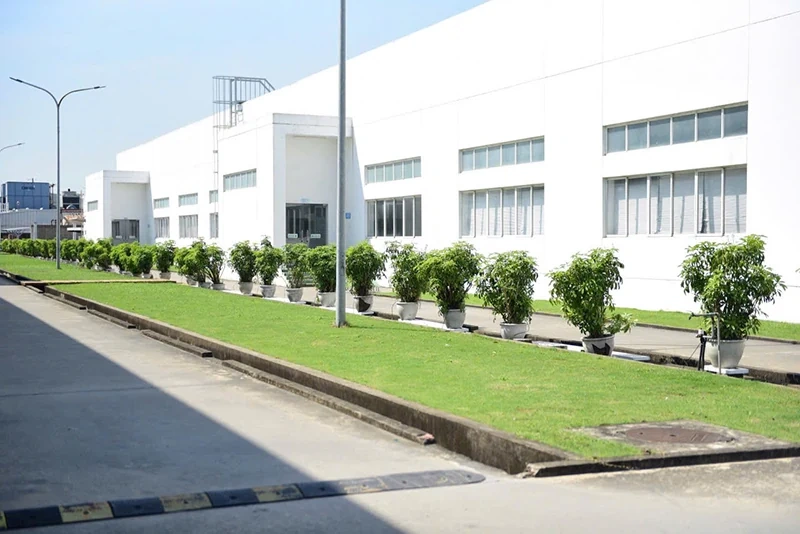 Công ty TNHH Sakurai Việt Nam: Hành trình vững bước vươn xa, nâng tầm giá trị Việt