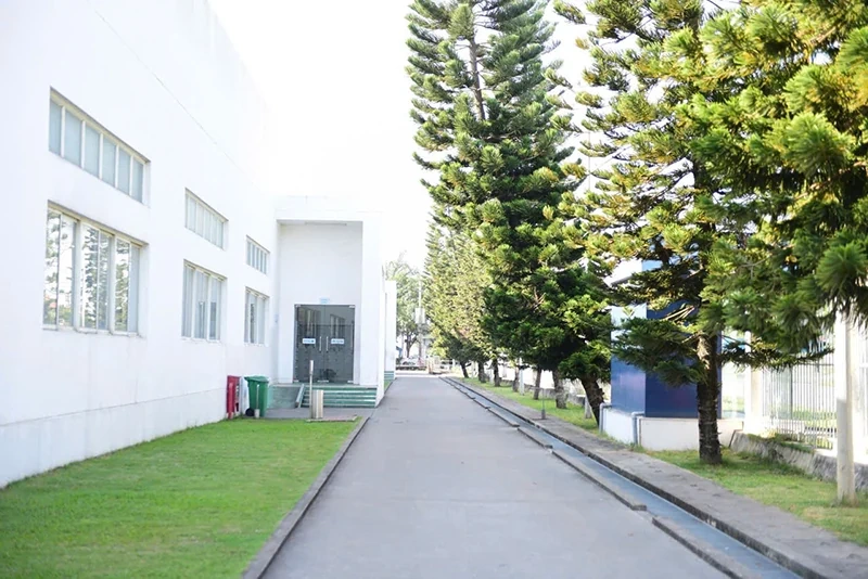 Công ty TNHH Sakurai Việt Nam: Hành trình vững bước vươn xa, nâng tầm giá trị Việt