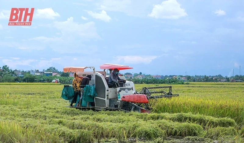 Cơ giới hóa và ứng dụng KHCN trong sản xuất nông nghiệp ở huyện Thiệu Hóa