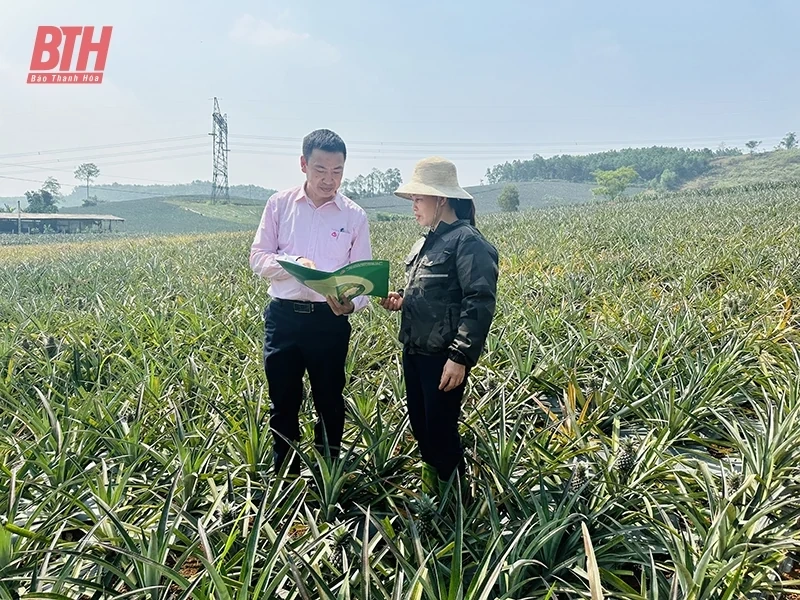 Tiếp sức cho hộ sản xuất, kinh doanh vùng khó khăn