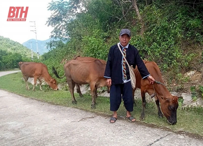Gỡ khó để nâng cao hiệu quả thực hiện Luật Thú y