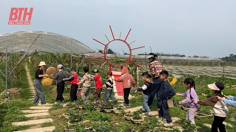 Thăm mô hình nông nghiệp tuần hoàn kết hợp du lịch trải nghiệm