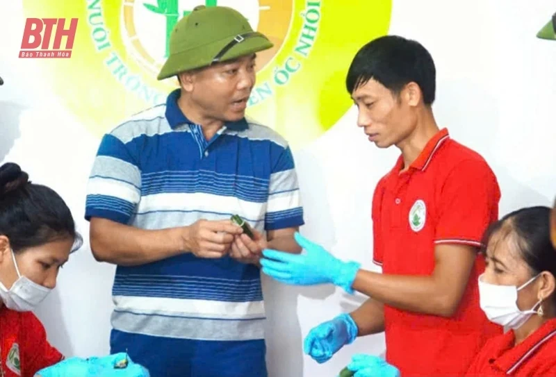 Chàng trai 9X “đánh thức” vùng đất Đại Lợi