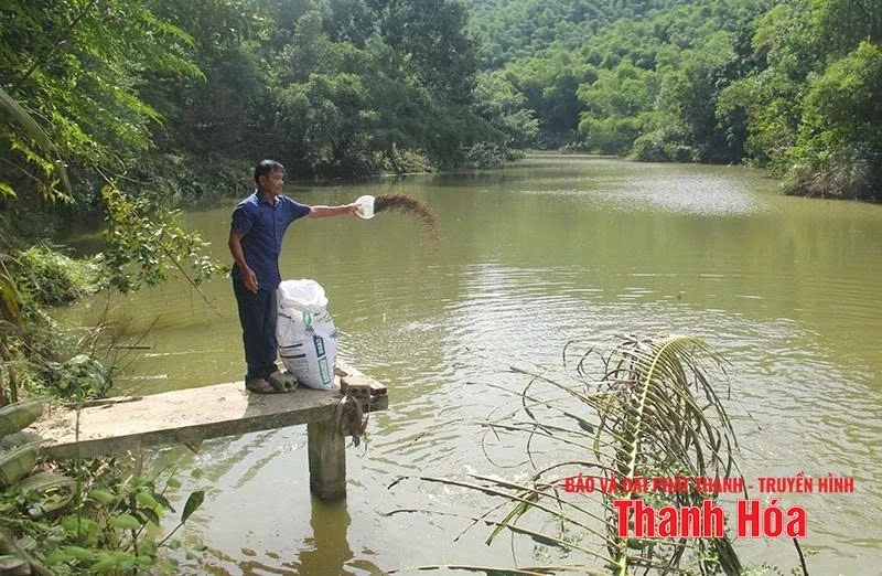 Thung lũng hồi sinh