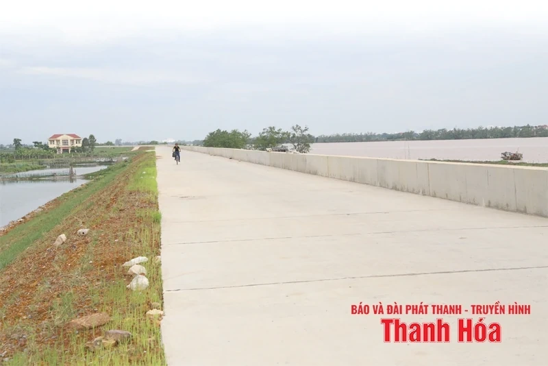 Khẩn trương thi công công trình đê điều phòng, chống thiên tai