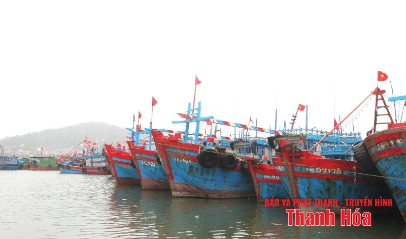 Tỉnh Thanh Hóa cấm biển từ 8h ngày 21/7
