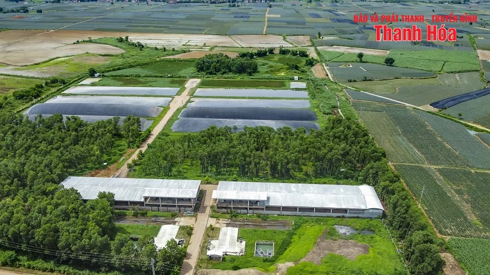 Vinamilk Green Farm Thanh Hóa - Phát triển trang trại xanh, nông nghiệp bền vững hướng đến mục tiêu Net Zero
