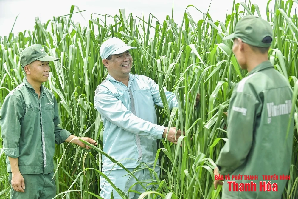 Vinamilk Green Farm Thanh Hóa - Phát triển trang trại xanh, nông nghiệp bền vững hướng đến mục tiêu Net Zero