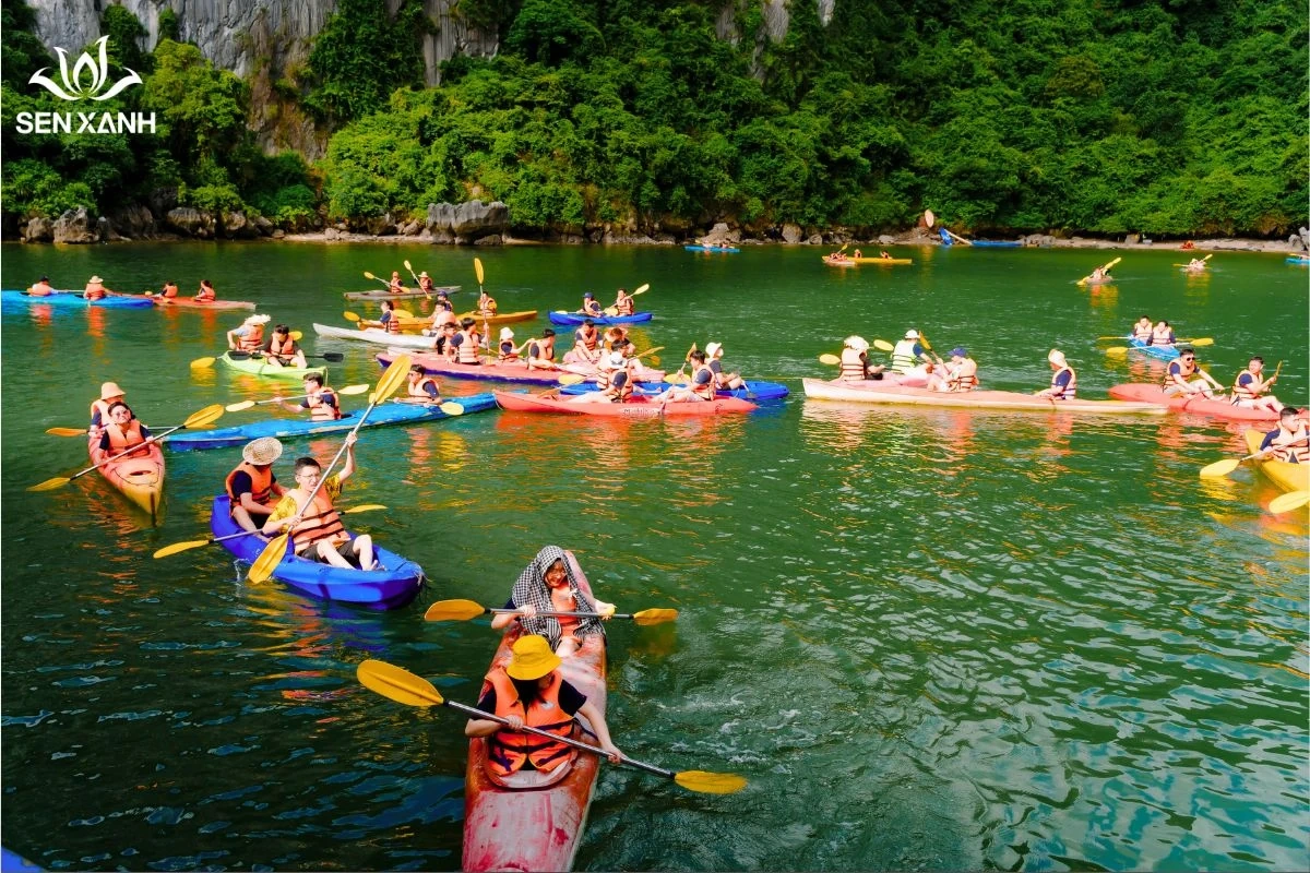 Sen Xanh – Công ty Team Building tiên phong với mô hình Teambuilding Amazing Race tại Việt Nam