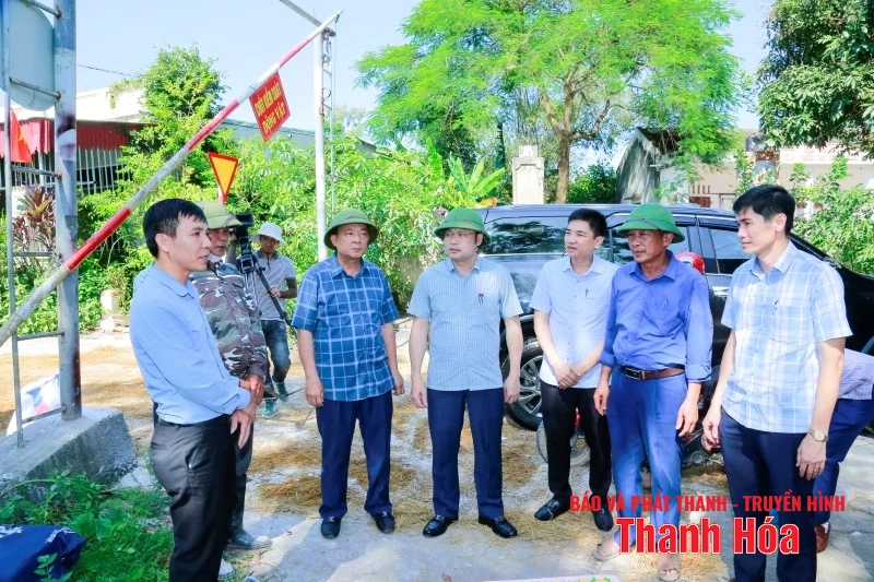 Kiểm soát, xử lý dứt điểm các ổ dịch tả lợn Châu Phi