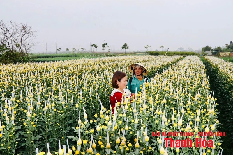 Đảng bộ xã Yên Trường phát huy truyền thống anh hùng, vững tin bước vào kỷ nguyên mới