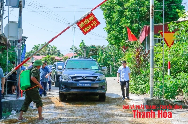 Thành lập 39 chốt kiểm soát dịch bệnh tả lợn Châu Phi