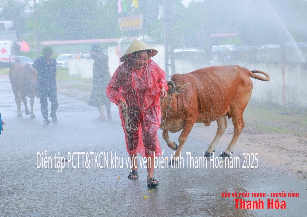 Hình ảnh diễn tập phòng, chống thiên tai, tìm kiếm cứu nạn khu vực ven biển