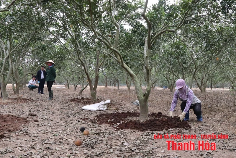 Tư duy sáng tạo, khát vọng vươn lên, hành động quyết liệt xây dựng xã NTM nâng cao