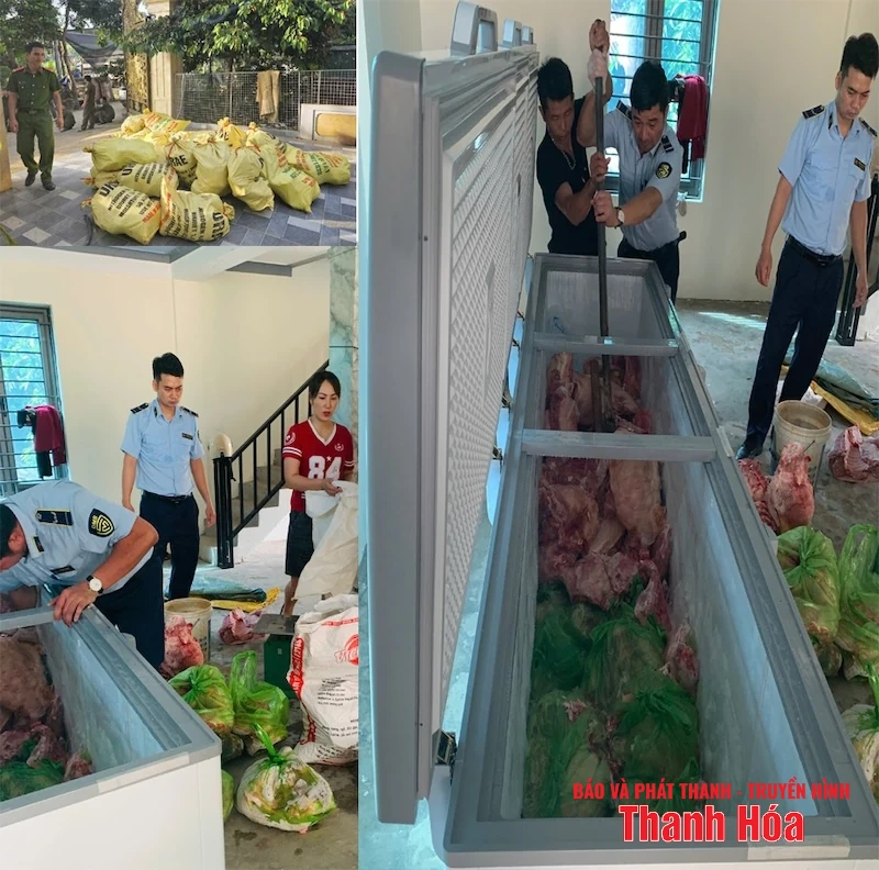 Phát hiện hơn 1.600kg thịt mắc dịch tả lợn Châu Phi chuẩn bị bán ra thị trường
