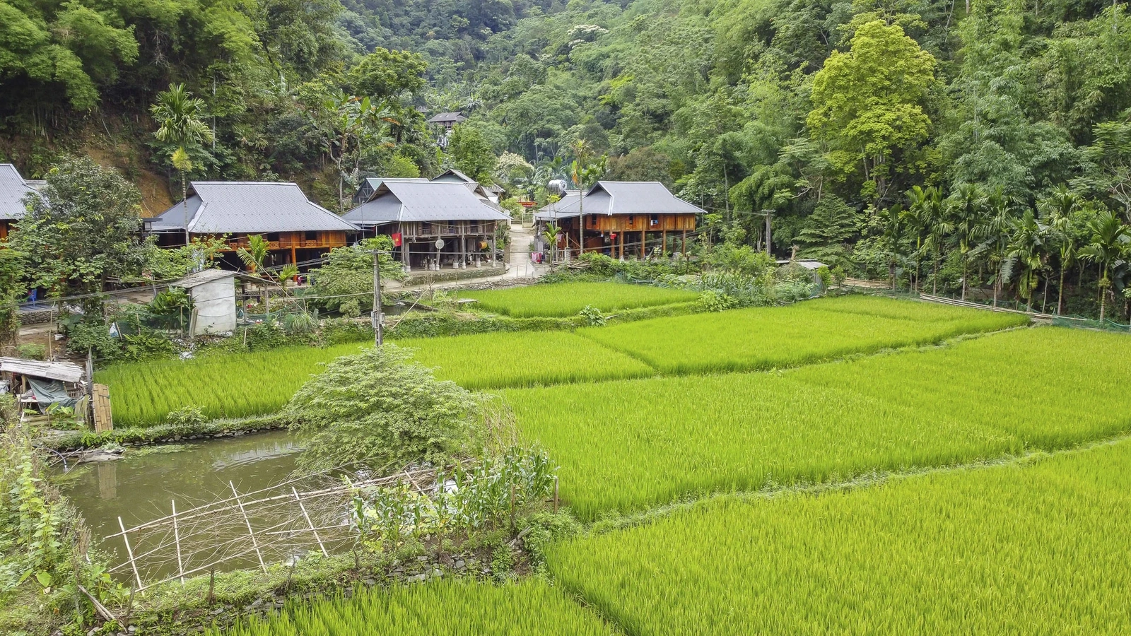 Không thể tách rời Hang Dơi khỏi bản Kho Mường – ngôi làng nhỏ của người Thái nằm bên triền núi. Bản vẫn giữ gần như nguyên vẹn phong tục tập quán cổ truyền. Người Thái nơi đây sống hòa thuận với rừng, xem Hang Dơi là “linh hồn thiêng” canh giữ cả thung lũng.