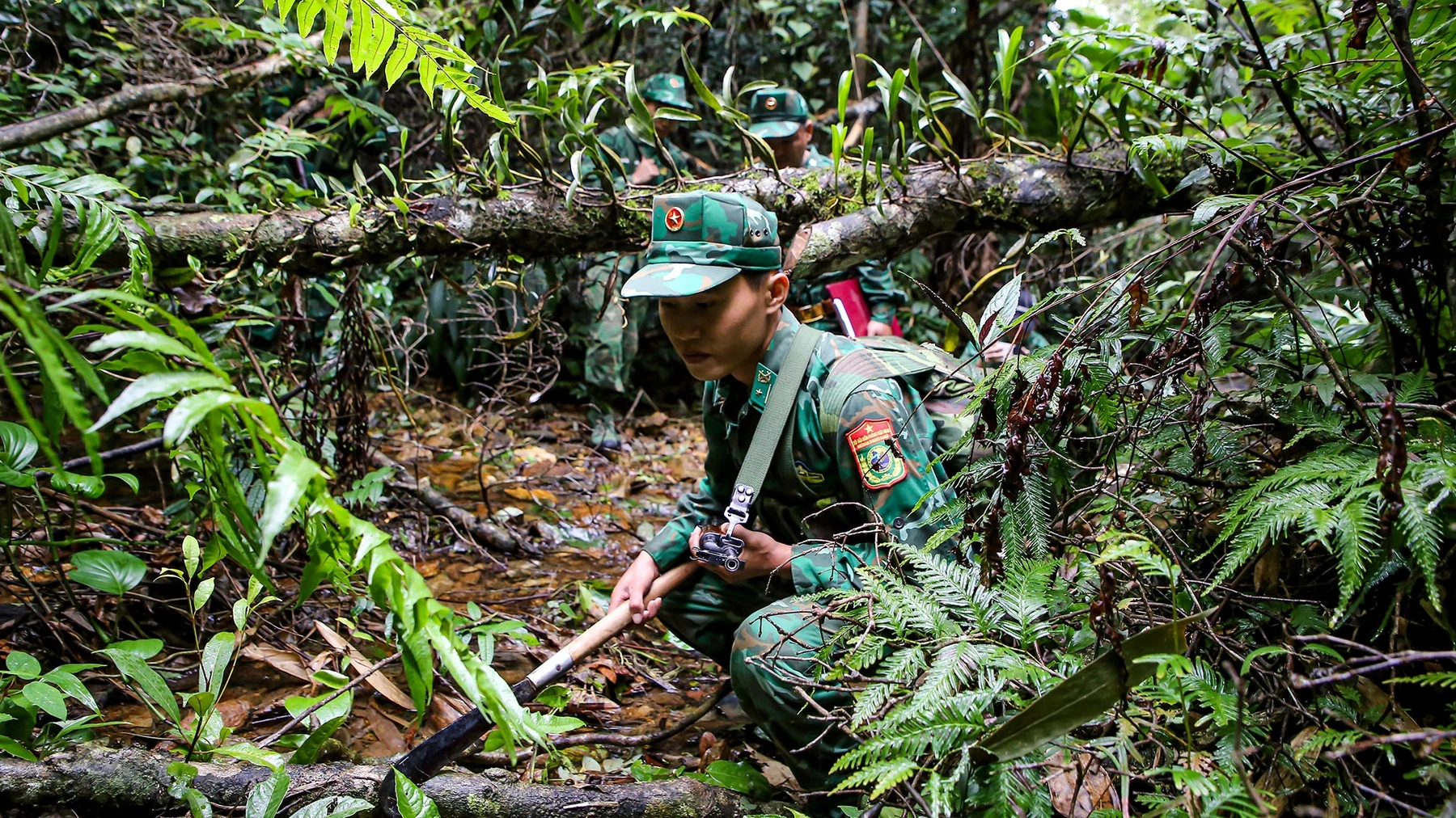 Càng vào sâu chúng tôi phải đánh dấu lên từng thân cây để tránh bị lạc. Trên đường tuần tra, chúng tôi cũng tập trung theo dõi, truy tìm các dấu vết, biểu hiện vi phạm chủ quyền lãnh thổ, an ninh biên giới, xâm canh, xâm cư, hoạt động của các loại tội phạm, hay tình trạng khai thác lâm sản trái phép.