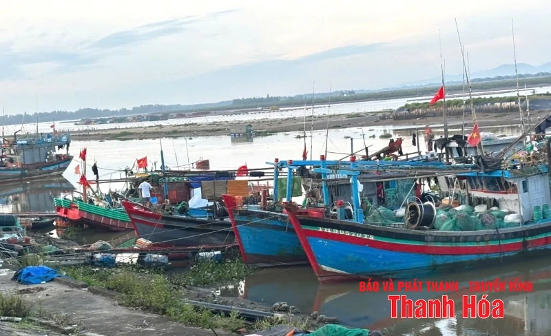 Xã Tiên Trang hỗ trợ người dân gia cố lồng bè nuôi cá