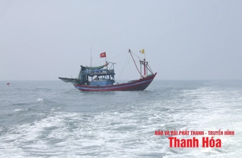 Thanh Hóa chủ động ứng phó với vùng áp thấp có khả năng mạnh lên thành áp thấp nhiệt đới và bão