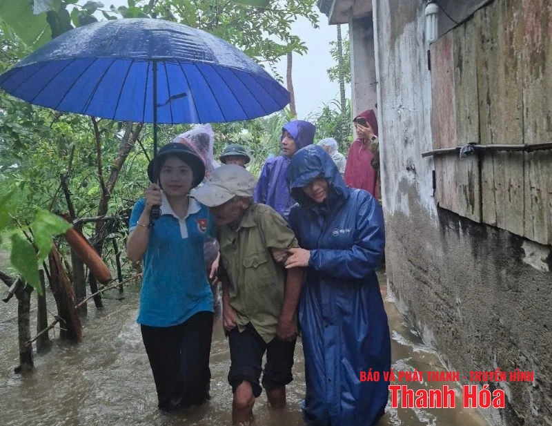Thành lập đội “Thanh niên tình nguyện xung kích” sẵn sàng phòng, chống bão số 5
