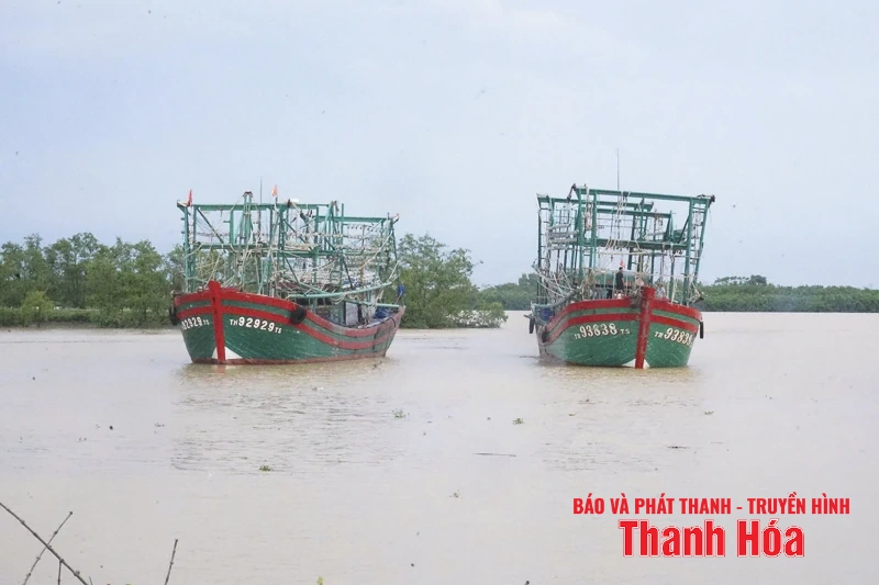 Ngư dân Thanh Hóa khẩn trương “chạy bão” số 5