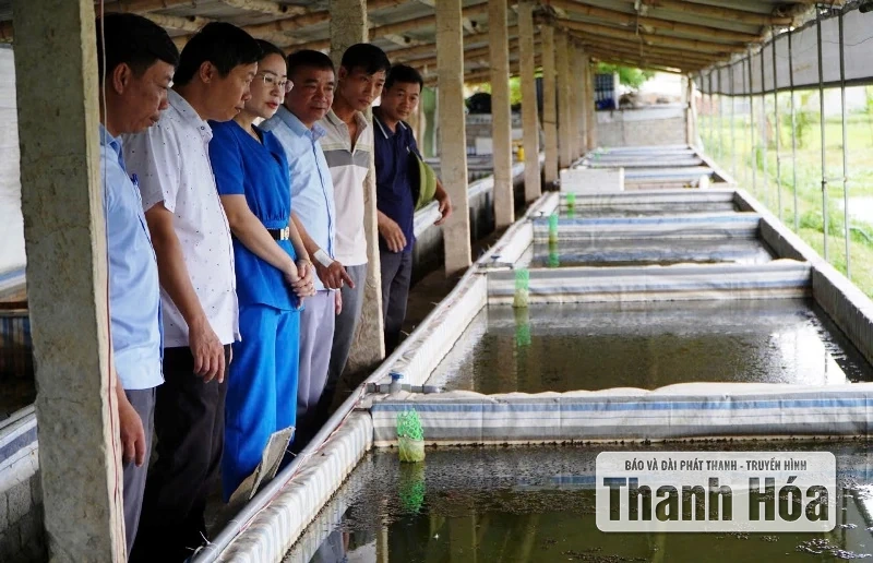 Ra mắt Chi Hội nông dân nghề nghiệp và giải ngân nguồn Quỹ Hỗ trợ nông dân