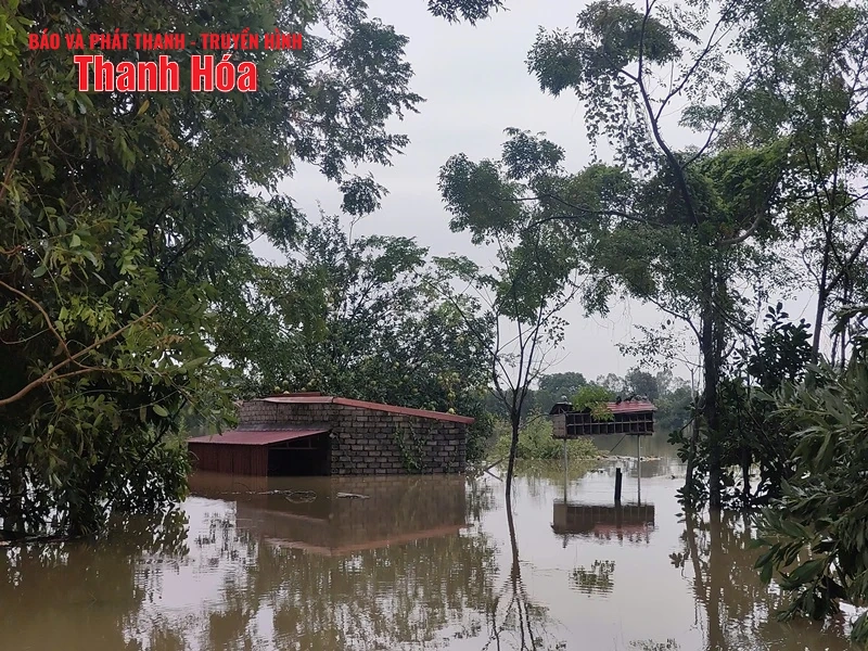 170 hộ dân thôn Tiên Nông, xã Định Hoà bị nước lũ chia cắt